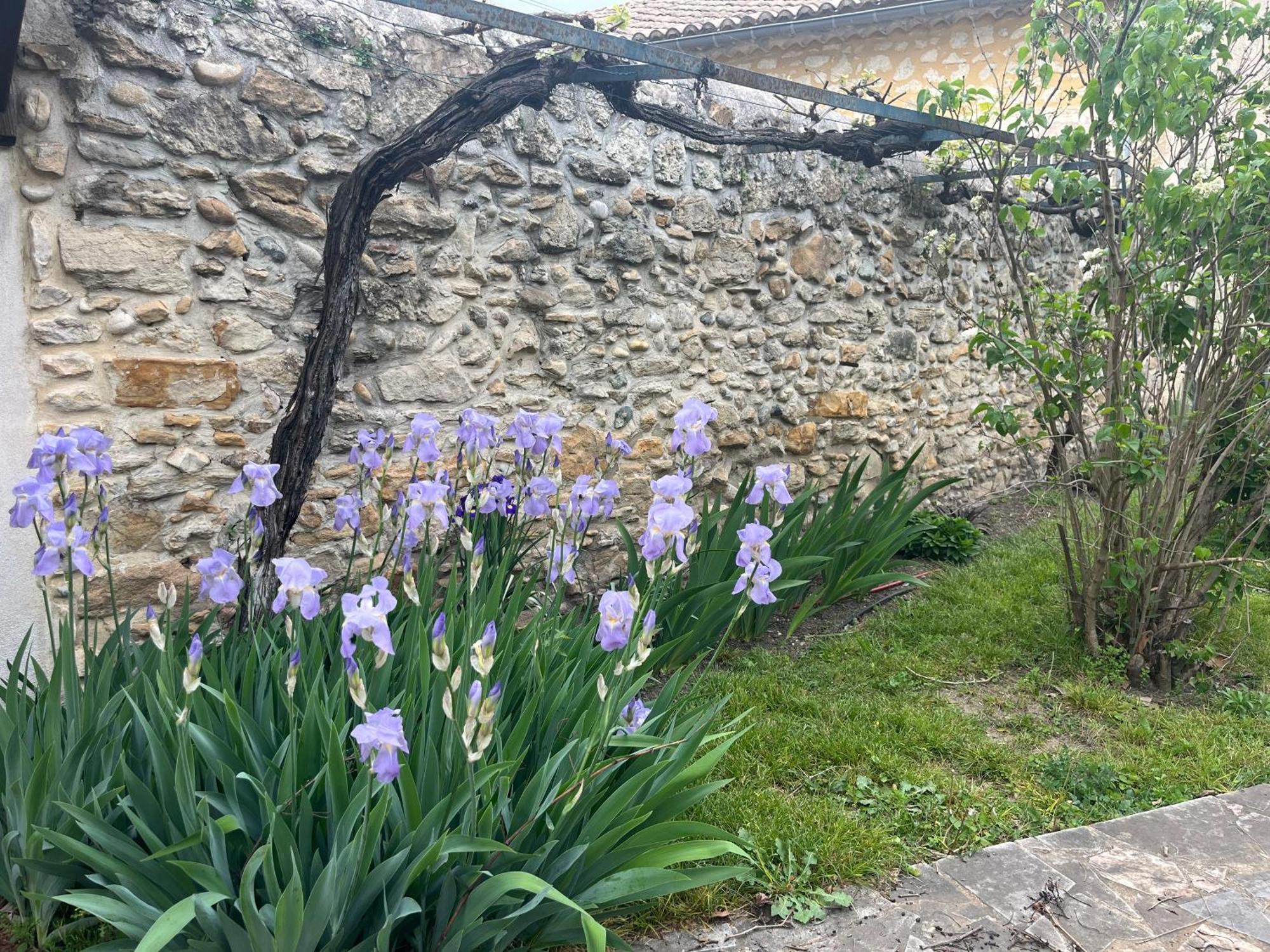 Maison En Provence Lapalud 외부 사진